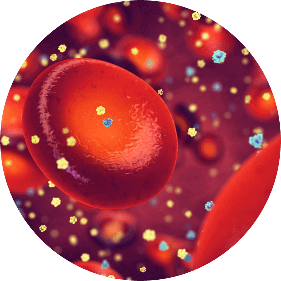 Circle Image